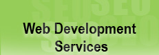 SEO Web Development Services